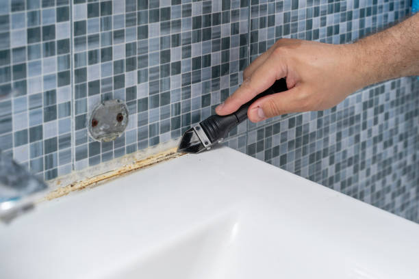 Best Affordable Mold Removal  in Brighton, MI