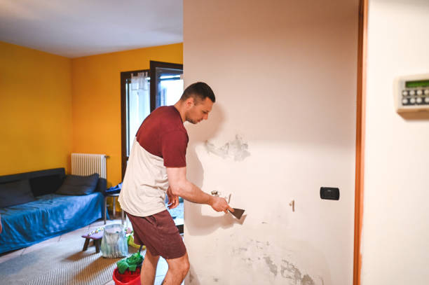 Best Fast Mold Removal  in Brighton, MI